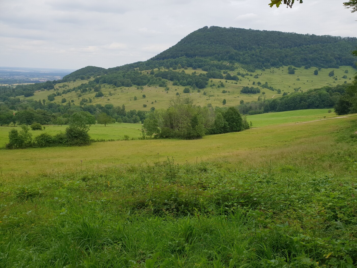 Drei Tage zu Fuß durch meinen Wahlkreis