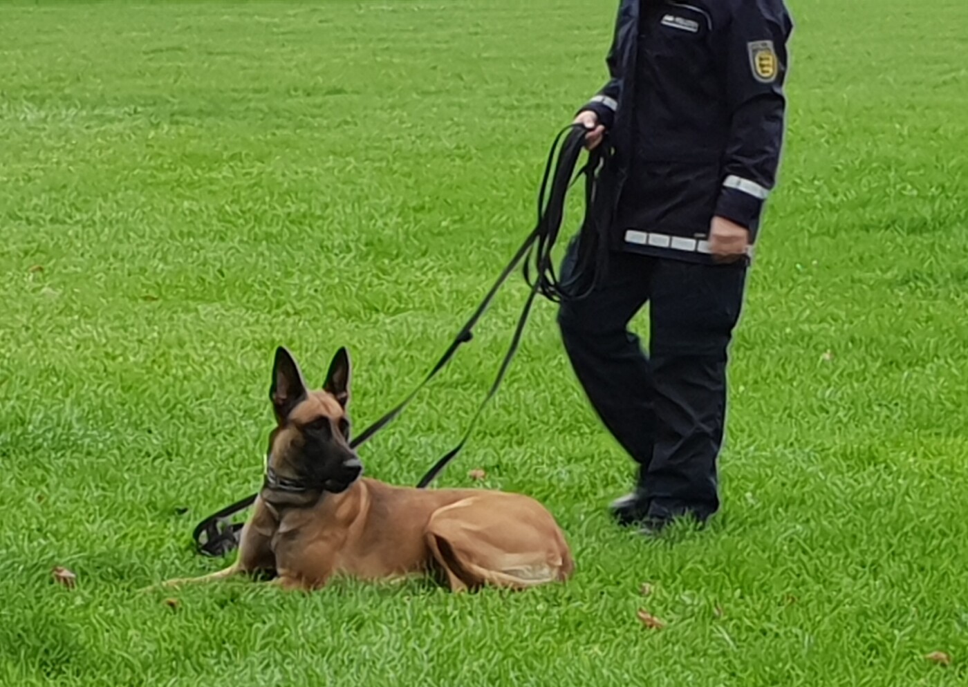 Besuch bei der Hundestaffel und im Polizeiposten