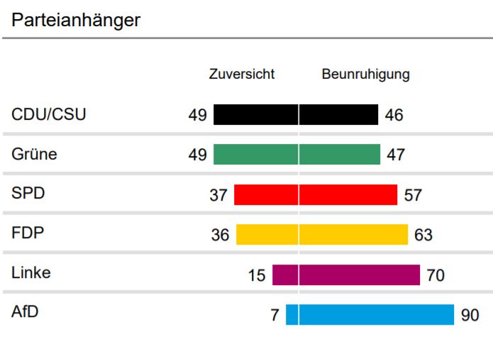 AfD: Mit Pessimismus ins Destruktive