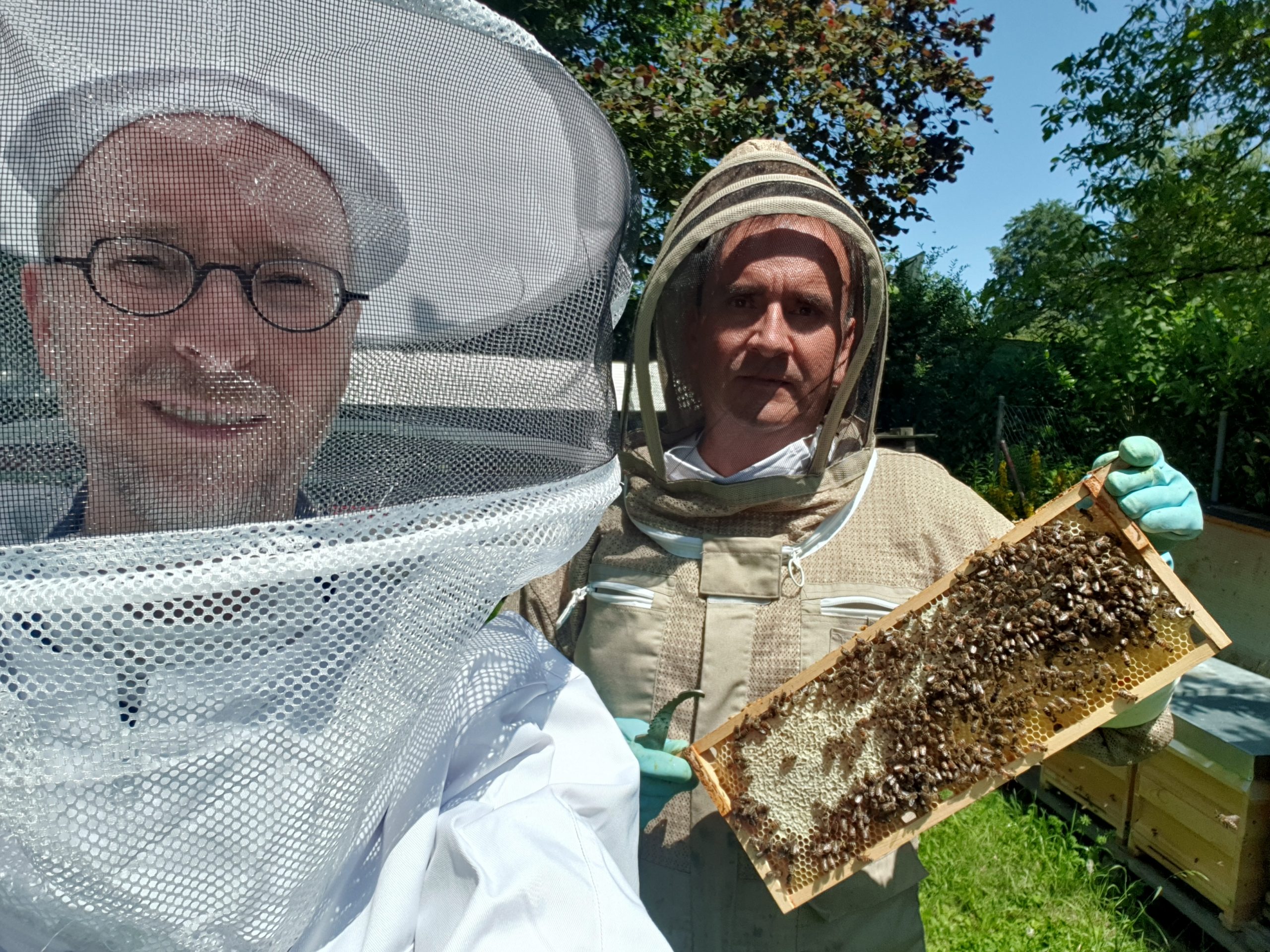 Ein Bienenvolk zum Vermieten
