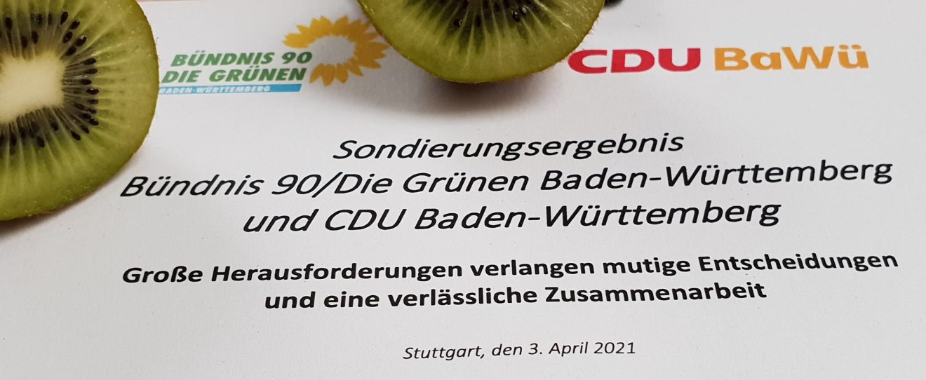 Foto Grün-Schwarz Sondierung mit Kiwi