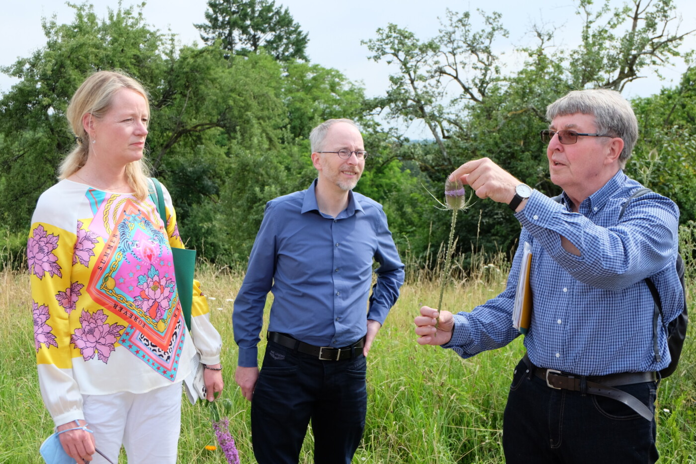 Von Sanguisorba und Natrix auf der Gutenhalde