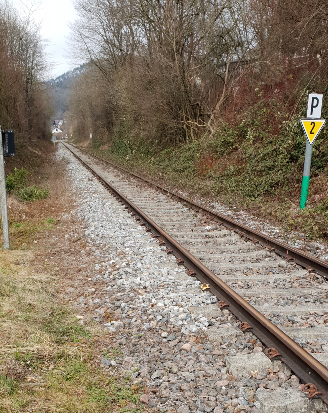 Bahn: Reaktivierungs-Potential am Bodensee