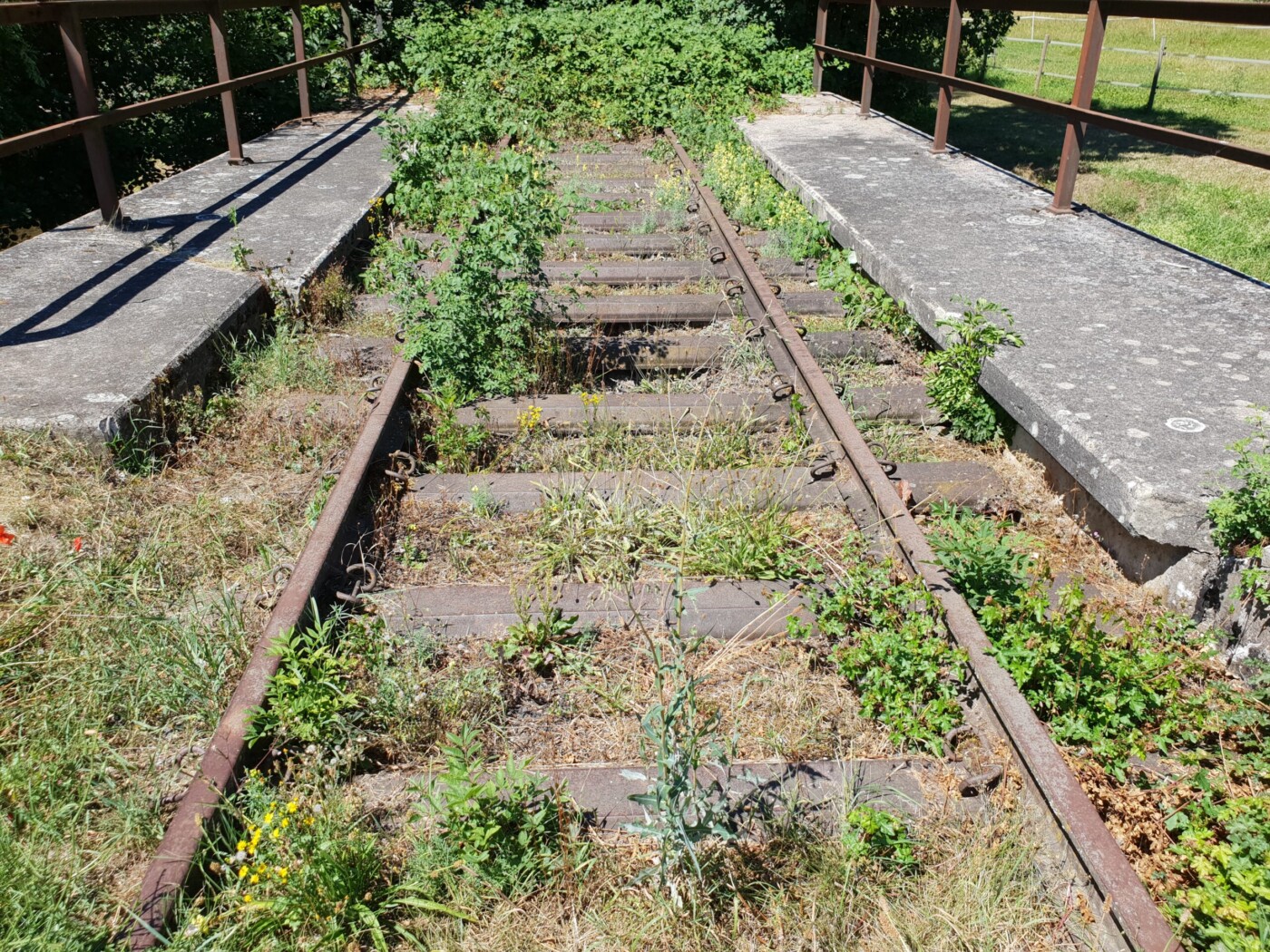 Zabergäubahn reaktivieren