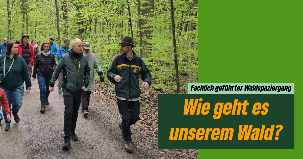 „Wie geht es unserem Wald?“