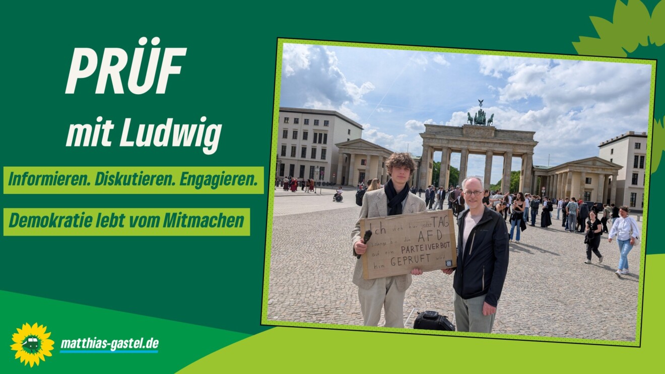 Werben für Überprüfung der AfD
